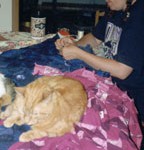 Kathi Nash & cat